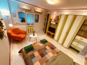 Cluj City Marasti Studio Andromeda